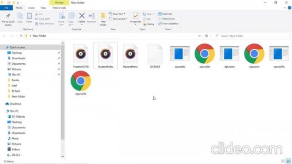 Encoding and Decoding Voice Sample Using Opus Codec _ MT20CMN018