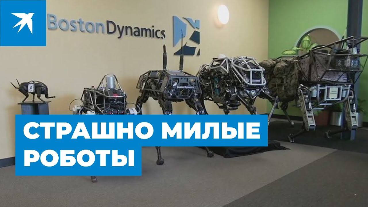 Boston Dynamics: страшно милые роботы