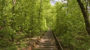 Walking Through the Tunnel of Love in Klevan, Ukraine - [4K] Virtual Walk with Birds Singing