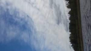 Ловля сома на реке Волхов