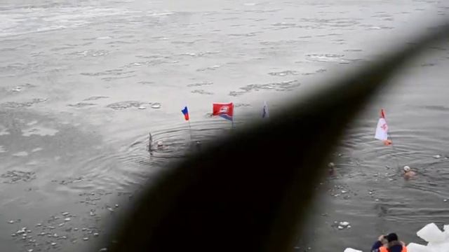 Заплыв "Олимпийский". Река Амур. г.Благовещенск смотреть онлайн