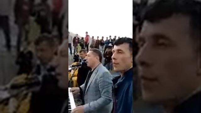 Туй зеробод смотреть онлайн