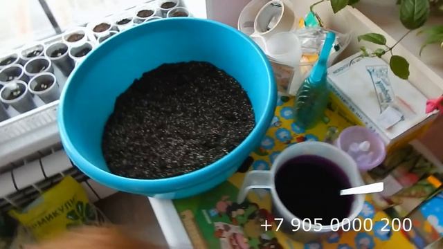 Лена делится своим опытом.Часть 1. смотреть онлайн