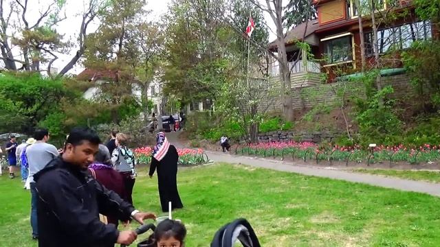 #61 КАНАДА | Tulip Festival in Ottawa | Фестиваль тюльпанов в Оттаве смотреть онлайн