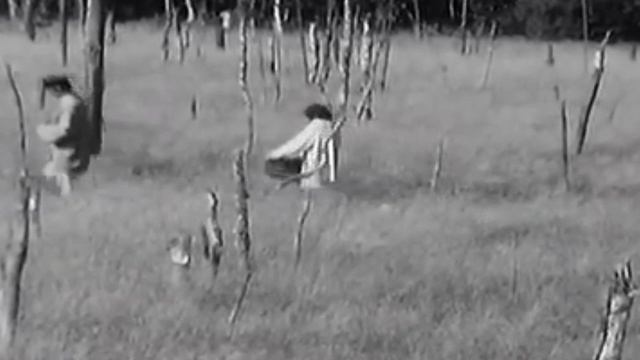 Вылетушки с нескладухой