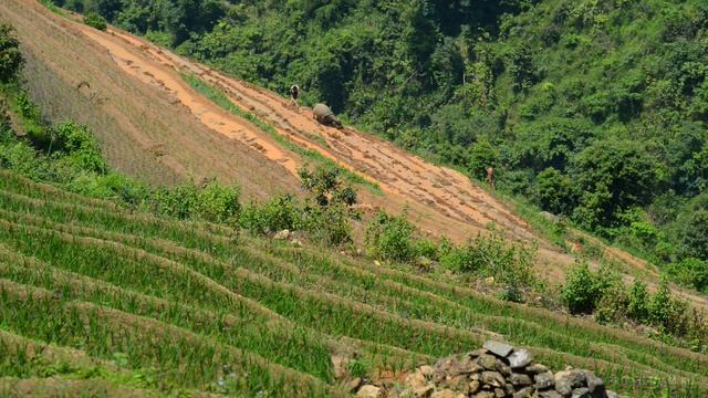 Путешествие в Сапу | Про Вьетнам | Journey to the Sapa смотреть онлайн