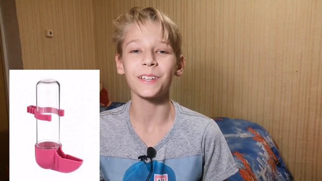 Во сколько обойдётся заведение попугая🦜🐦. Покупка попугая❤️ смотреть онлайн