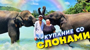 Купание со слонами на пляже Три Транг | Пхукет | Слоны