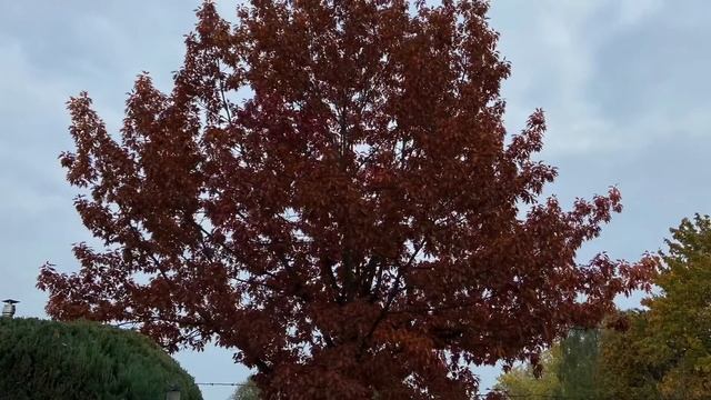 Стих: мамины молитвы смотреть онлайн