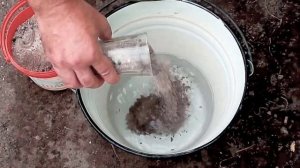 Как использовать золу в качестве удобрения