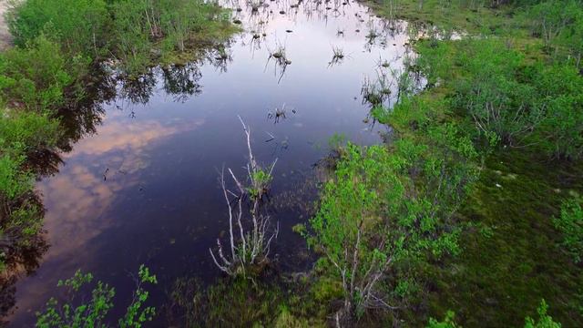 Западная лица-Заозерск #ЗападнаяЛица#Заозерзк#DJImavicmini#Mavic#природасевера#красивыепейзажи