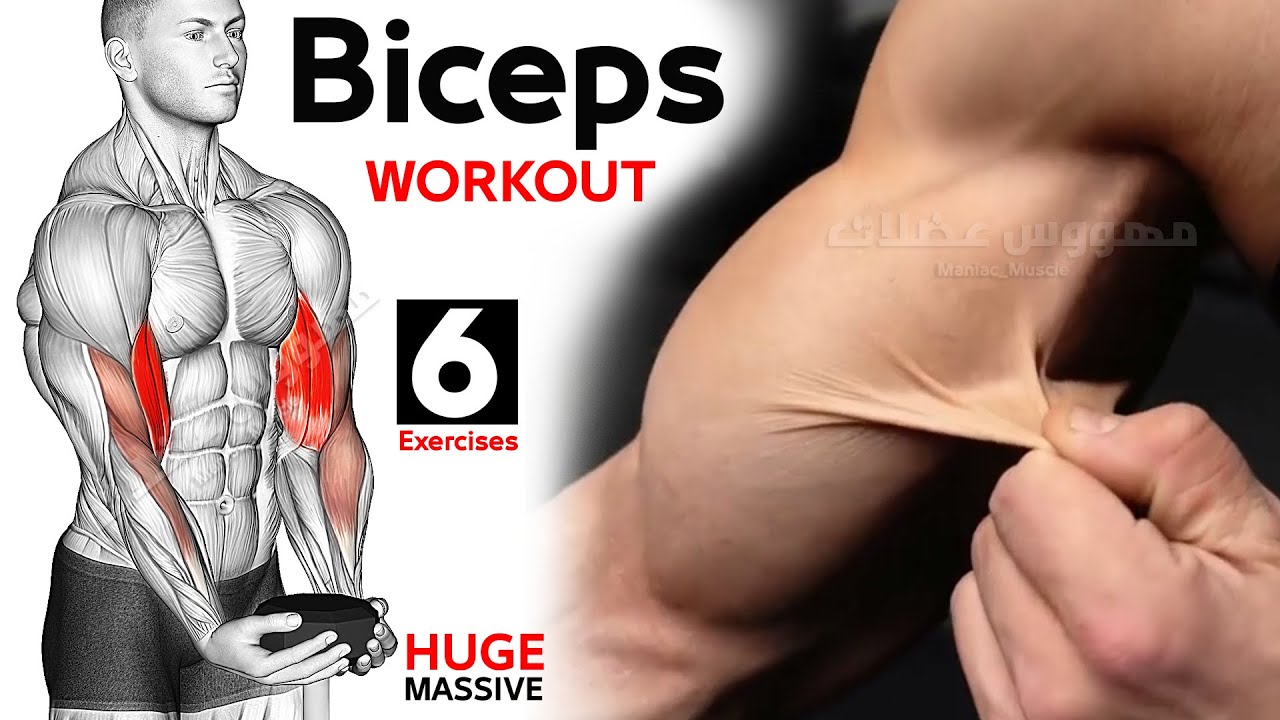 6 ЛУЧШИХ УПРАЖНЕНИЙ НА БИЦЕПСЫ ? WORKOUT ? смотреть онлайн