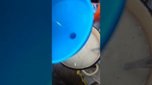 Сажаем морковь при помощи клейстера из муки!