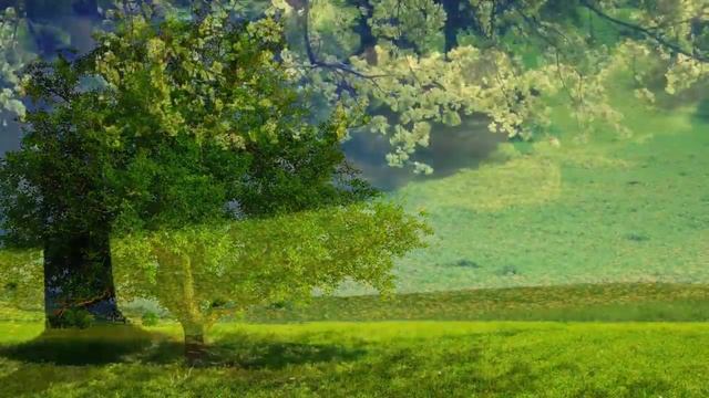 3 Hour Study Music, Focus Music Concentration Music, Relaxing Music, Calm Music, Alpha Waves, ☯343 смотреть онлайн