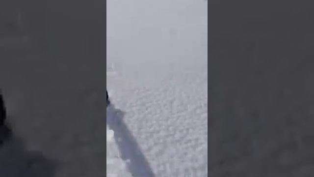 Кабан напал на снегоход смотреть онлайн