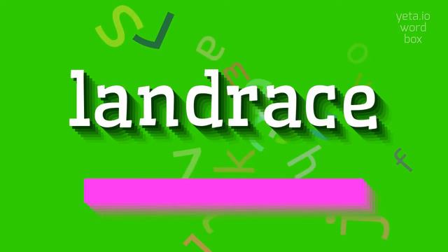 LANDRACE - HOW TO PRONOUNCE IT? #landrace смотреть онлайн
