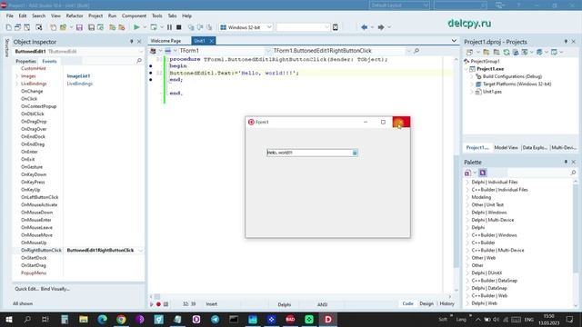 ButtonedEdit Delphi.