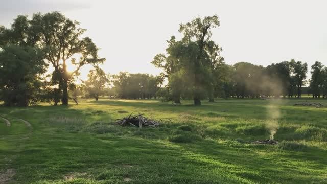 ОТПУСТИЛИ С МЕТАЛЛОИСКАТЕЛЕМ _  GlamBox _ ПОПОЛНЕНИЕ В СЕМЬЕ.mp4