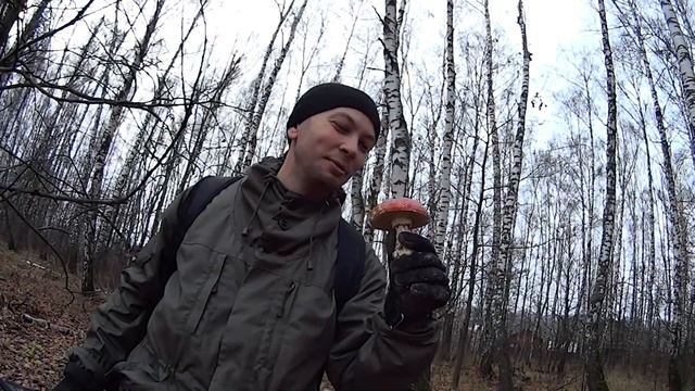 Первые находки с металлоискателем Nokta Anfibio Multi ?