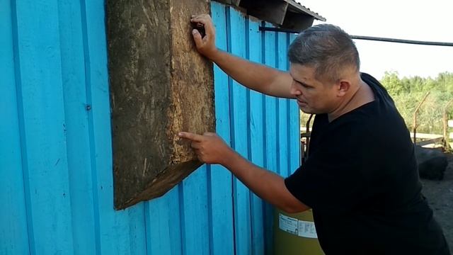 Кормушки для свиней своими руками. Вьетнамские свиньи смотреть онлайн