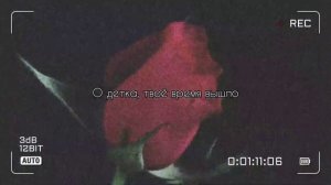 sektorjazza - red crystal castles • перевод / rus sub •