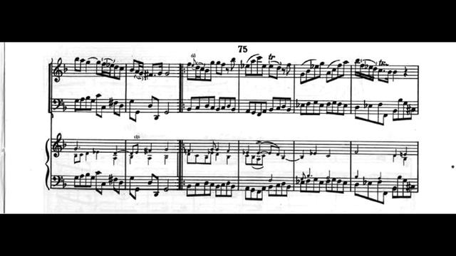 Antonio Vivaldi - Concerto for Strings in G minor RV 155 (Sheet Music Score) смотреть онлайн