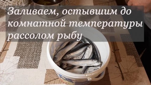 Малосольная Салака пряного посола. Рецепт бомба.