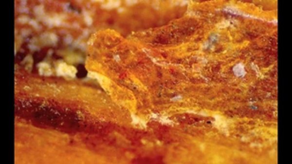 Universe Within - Standard Definition