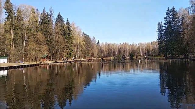Поимки форели до запуска и после. Спорт-зона. Клёвое место Лосиный остров. смотреть онлайн