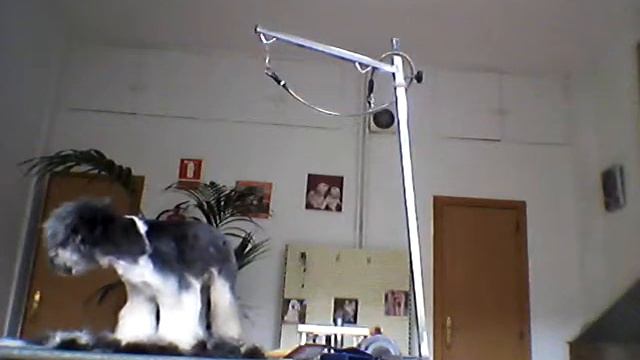 Corte De Pelo Crestado Chino