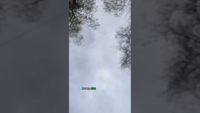 Мой путь к любимой профессии. смотреть онлайн