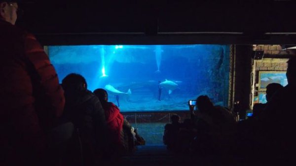 Polar Ocean Park in Hangzhou, China -杭州长乔极地海洋公园