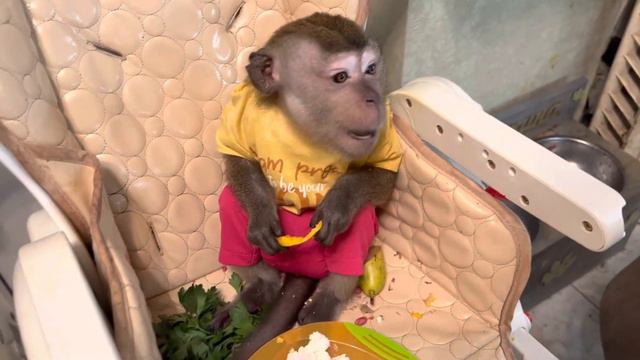 Завтрак 🥦🍍🥬🍆🌽6 декабря 2022 г. смотреть онлайн