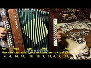 Просвистела. гр.ДДТ. Разбор на гармони.