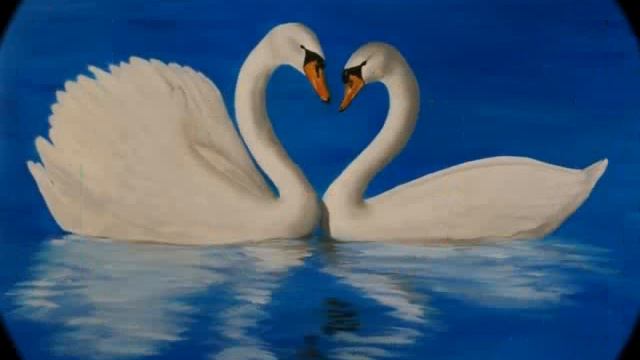 MK feb 2012.wmv смотреть онлайн