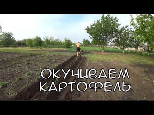 Окучили нашу картошку/купили курам жмых/купили новые вещи/ смотреть онлайн