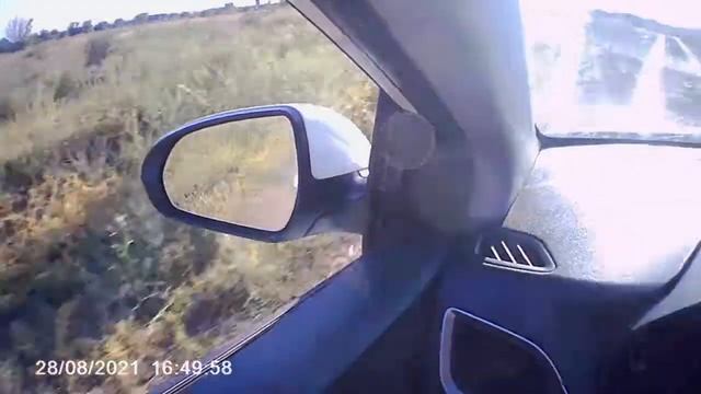 Самые уникальные модели Hyundai