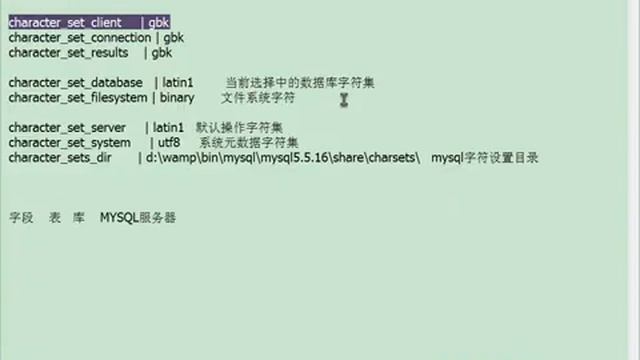 7_MYSQL视频教程 字符集操作原理与乱码解决方案 смотреть онлайн