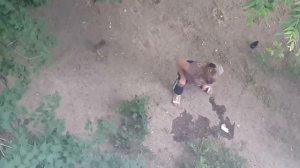 Клуша ссыт под окном