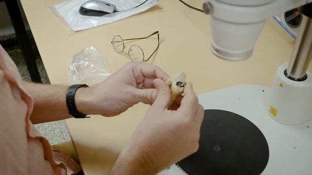 Forests drove megafauna and ancient human extinctions in Southeast Asia смотреть онлайн