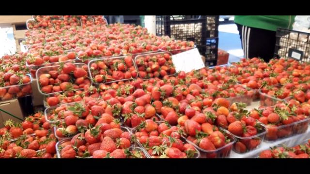 КЛУБНИКА, ЦЕНЫ НА СЕГОДНЯ. ХАРЬКОВ. САЛТОВСКИЙ РЫНОК МАЙ 2021 смотреть онлайн