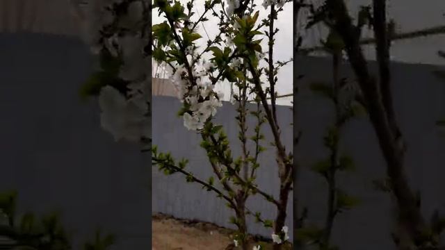 18 апреля 2021