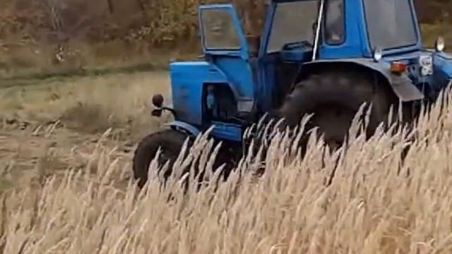 Мтз 80 смотреть онлайн