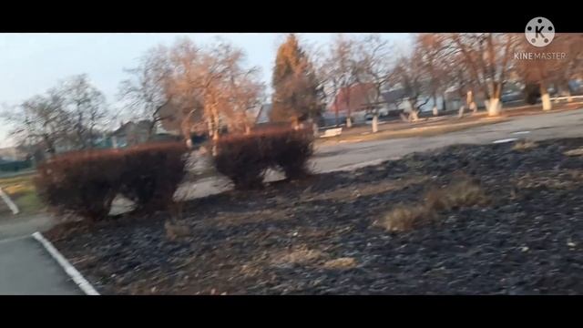 Дедушка Матвей получил перевод. смотреть онлайн