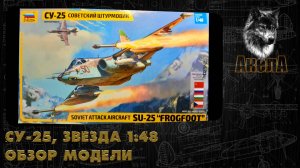 Обзор модели Су-25, Звезда 1/48