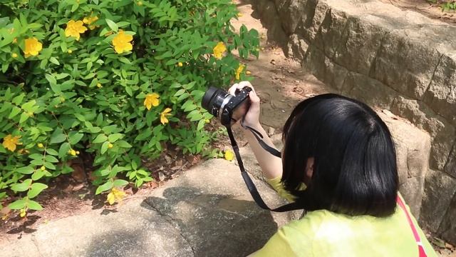SONY NEX 5Tを買った смотреть онлайн