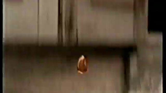 Fanta "Isabella" 1998 / 1999 stara kultowa reklama смотреть онлайн