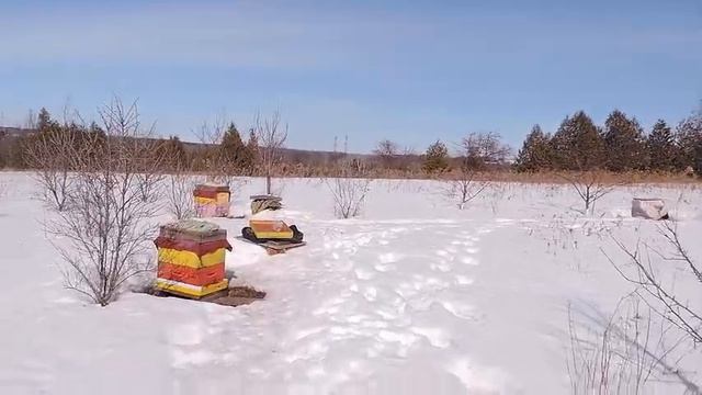 хороший облёт пчёл 2021 смотреть онлайн