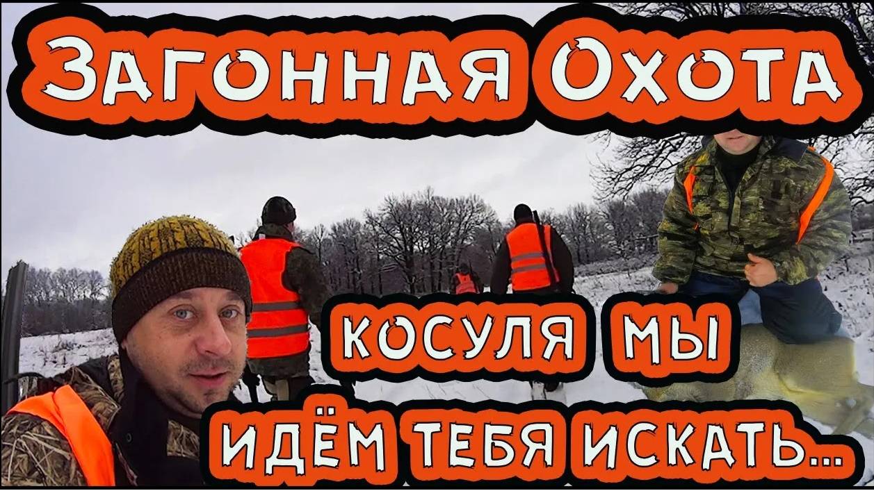 Охота на косулю в России. Коллективная, загонная охота на копытного зверя. смотреть онлайн