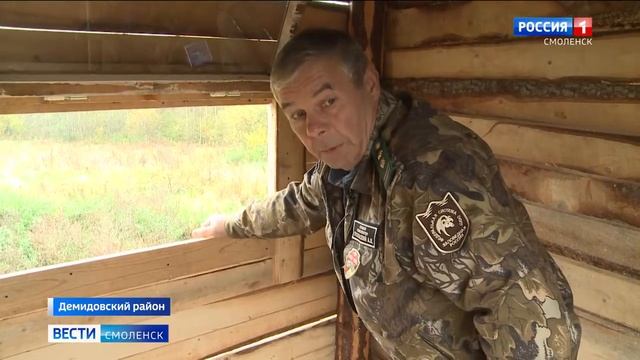 Пойдет охота на волков. В «Смоленском Поозерье» отрегулируют численность опасного зверя смотреть онлайн